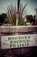 Dogtown Pocket Prairie