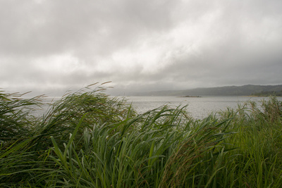 Lake Near Arenal