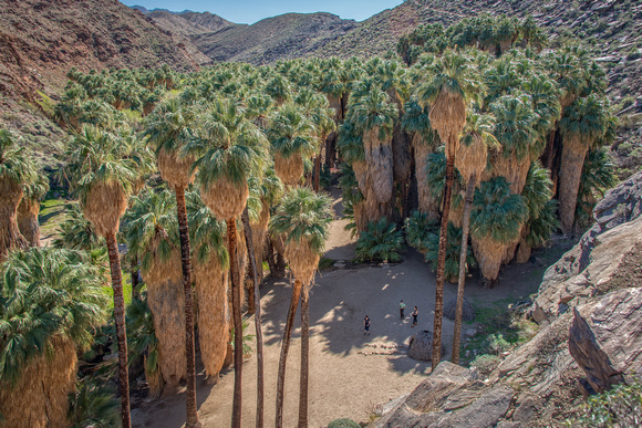 Agua Caliente Indian Reservation