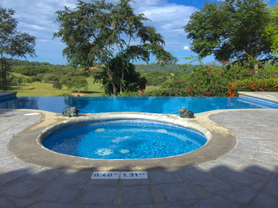 Bougainvillea Infinity Pool, iPhone photo