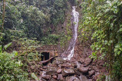 Waterfall in the Rain Forest