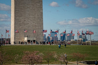Flags at the Washington Monument
