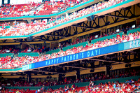 Father's Day at Busch Stadium