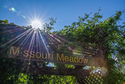 Missouri Meadow at the St Louis Zoo