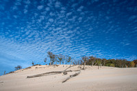 Dune Formations  11