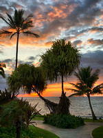 Palms of Wailea; Maui, Hawaii