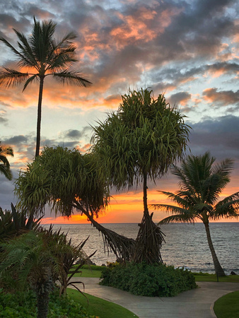 Palms of Wailea; Maui, Hawaii