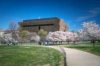 African American History & Culture Museum